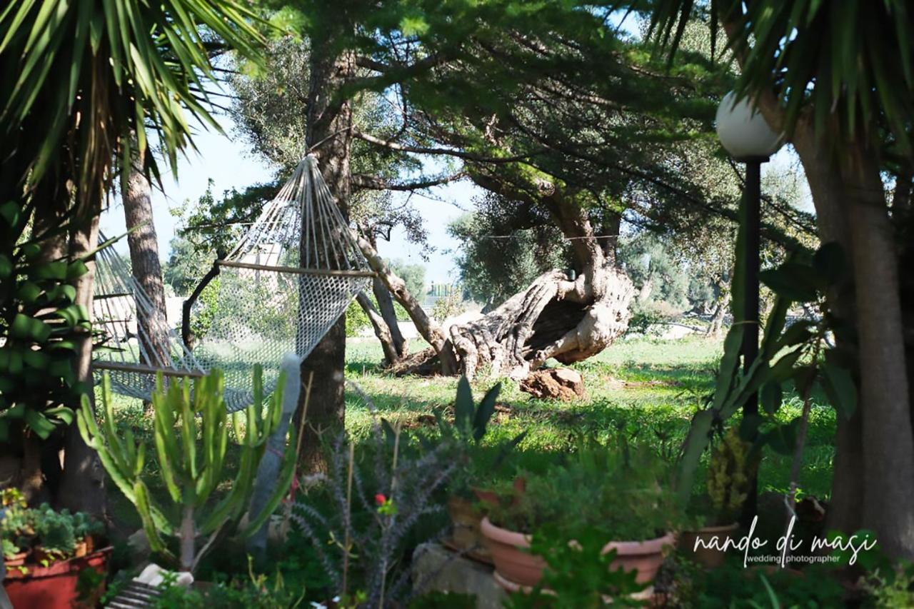 Masseria Giangrande - Rooms And Apartment ポリニャーノ・ア・マーレ エクステリア 写真