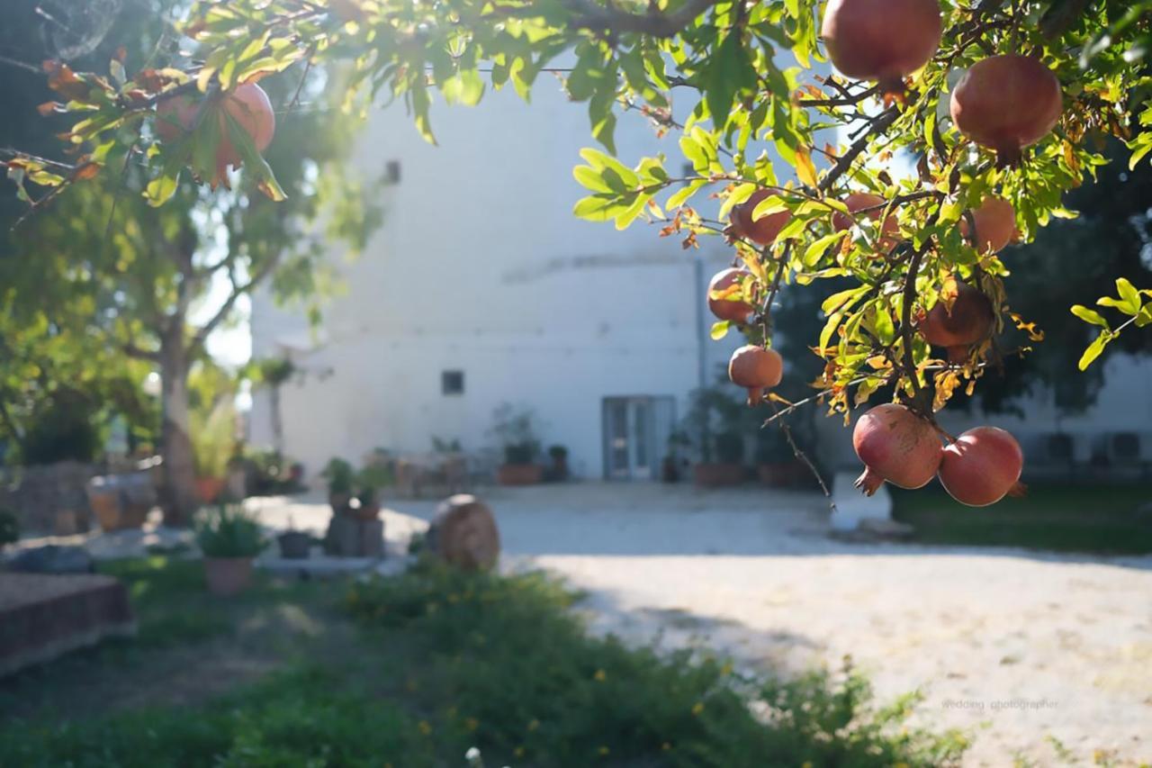 Masseria Giangrande - Rooms And Apartment ポリニャーノ・ア・マーレ エクステリア 写真