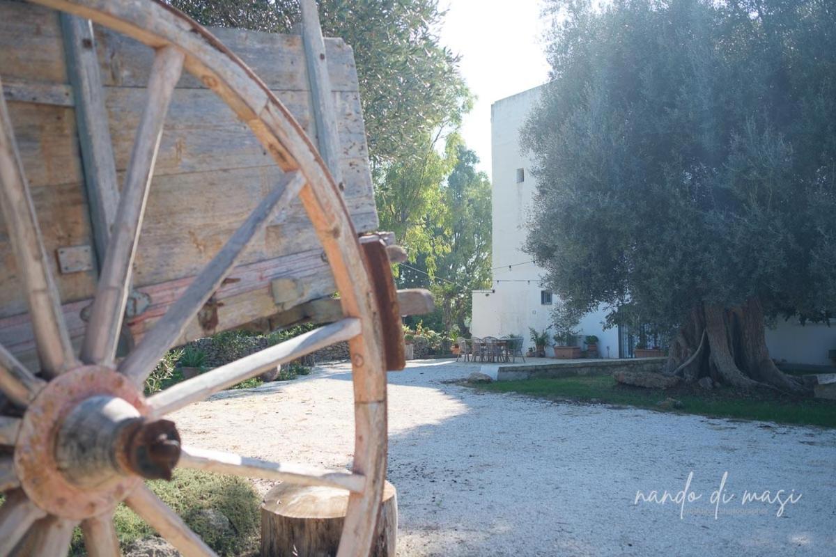 Masseria Giangrande - Rooms And Apartment ポリニャーノ・ア・マーレ エクステリア 写真