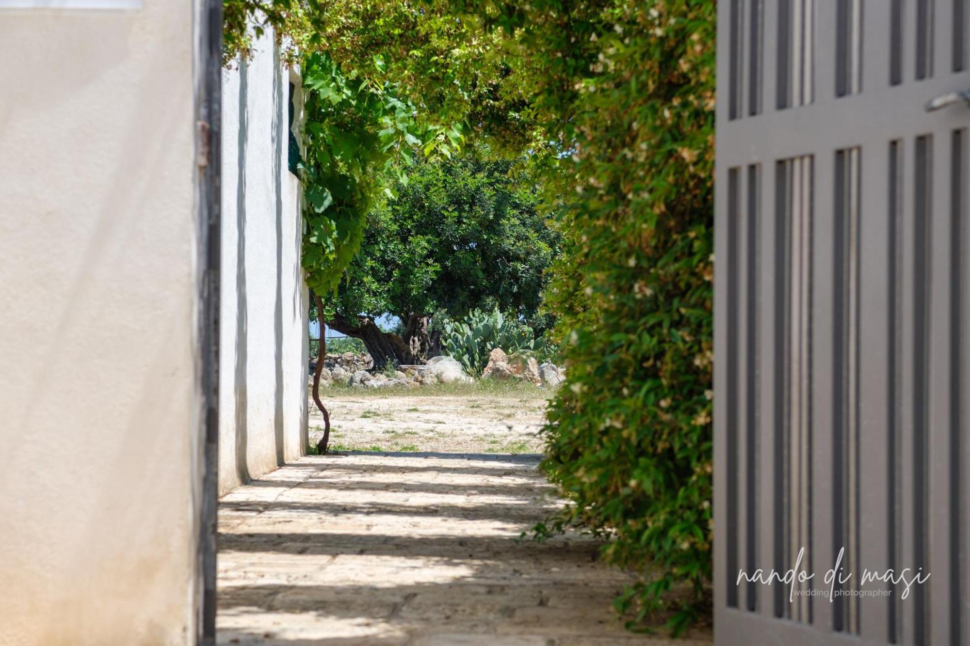 Masseria Giangrande - Rooms And Apartment ポリニャーノ・ア・マーレ エクステリア 写真