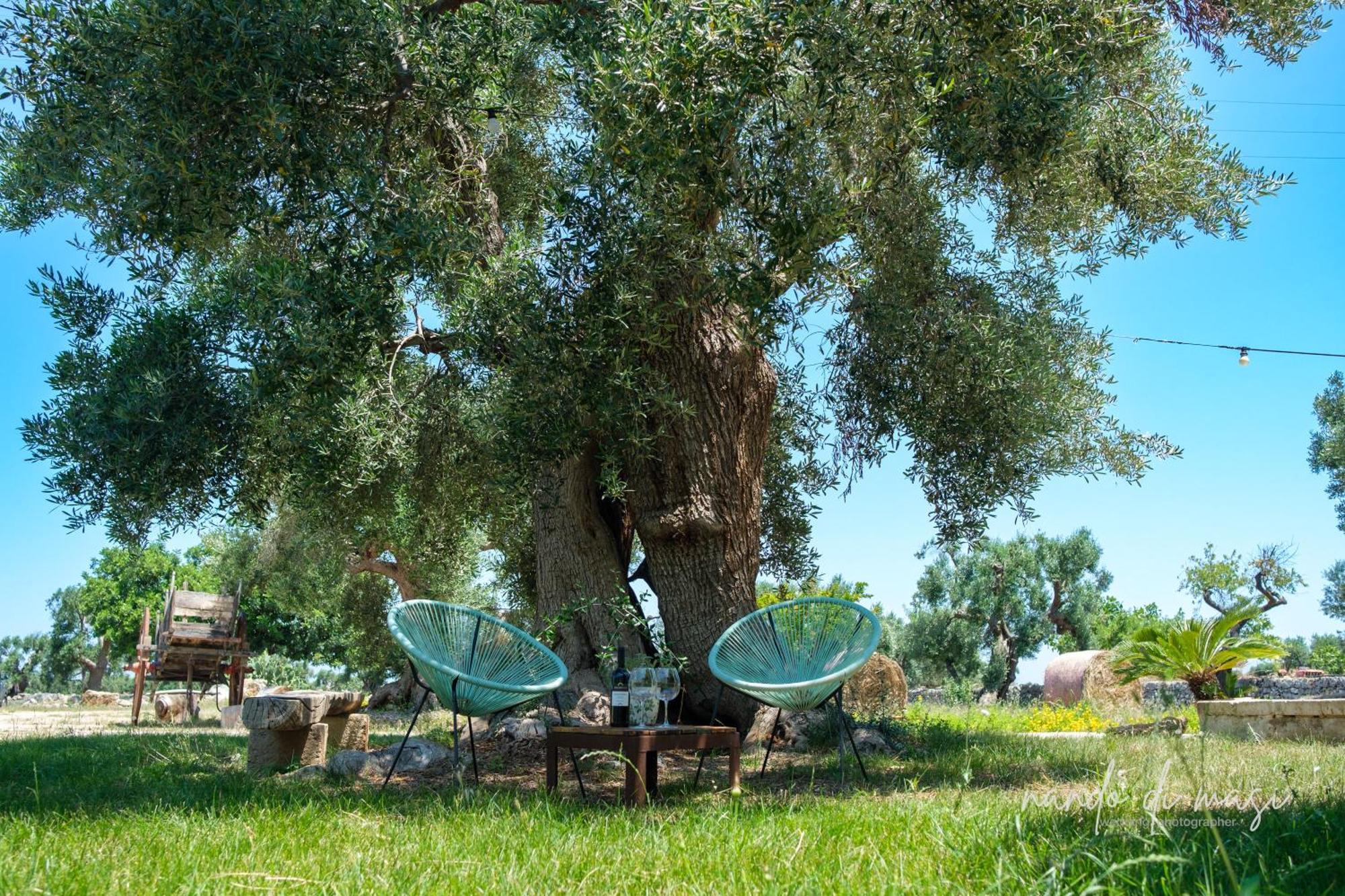 Masseria Giangrande - Rooms And Apartment ポリニャーノ・ア・マーレ エクステリア 写真