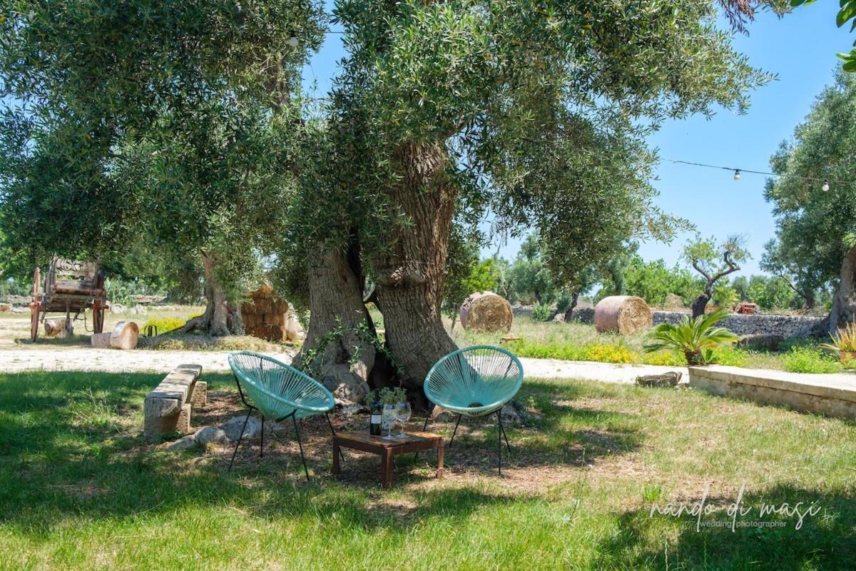 Masseria Giangrande - Rooms And Apartment ポリニャーノ・ア・マーレ エクステリア 写真